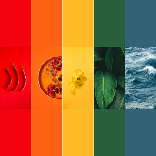 رنگ های تابستانی